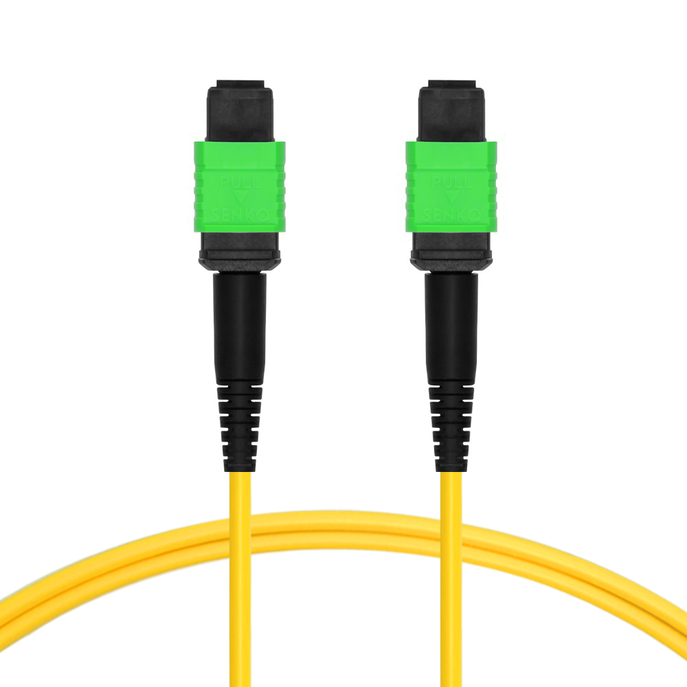 MPO Singlemode img